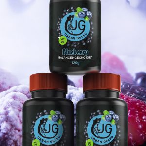 Urban Gecko Diet