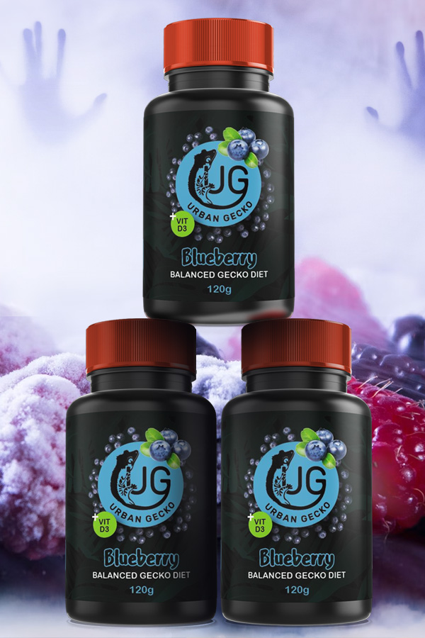 Blueberry – Berry Magic 3 Pack