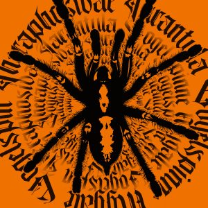 Ornithoctoninae sp Lam Dong