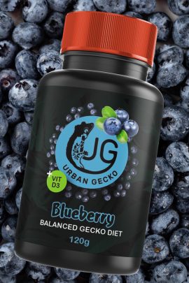 Urban Gecko – Blueberry 120g