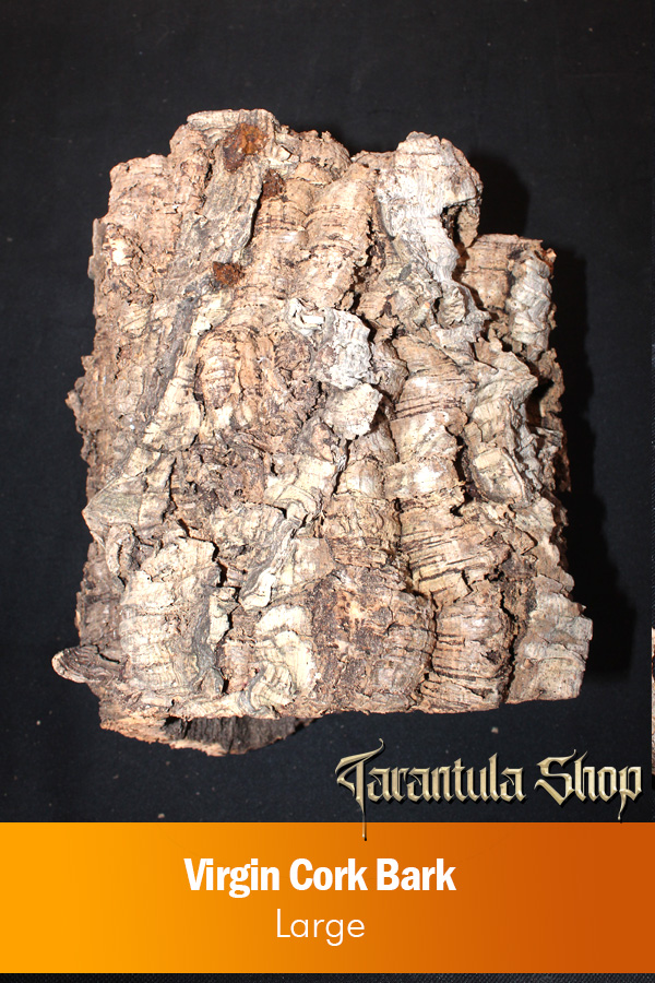 Virgin Cork Bark – Large