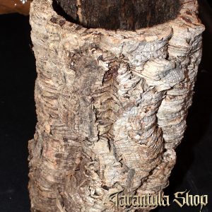 Virgin Cork Bark Medium