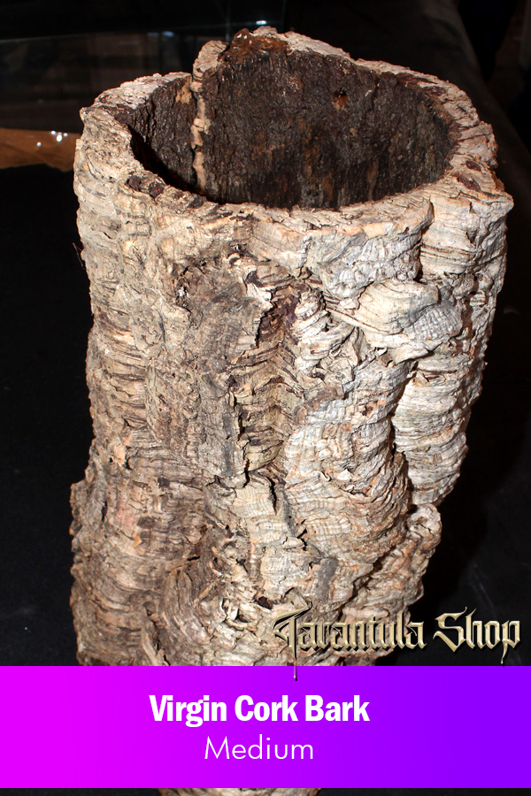 Virgin Cork Bark – Medium