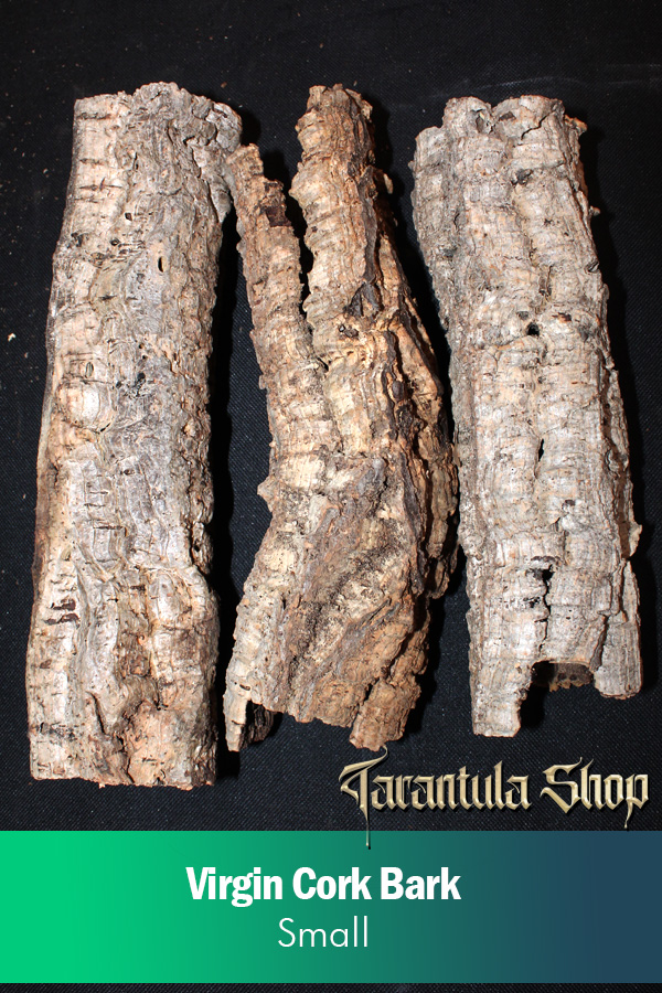 Virgin Cork Bark – Small