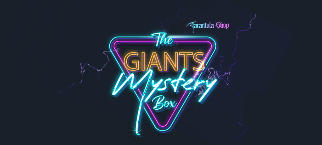 The Giants Mystery Box