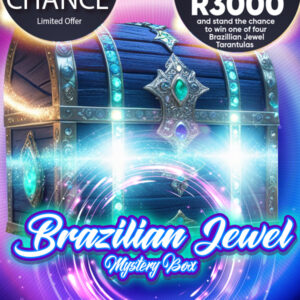 Brazilian Jewel Mystery Box