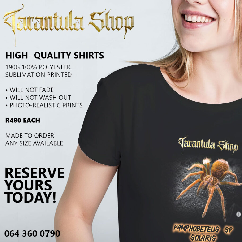 Spider Print T-shirts