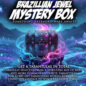 Brazillian Jewel Mystery Box