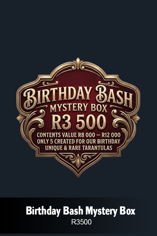 Birthday Bash Mystery Box