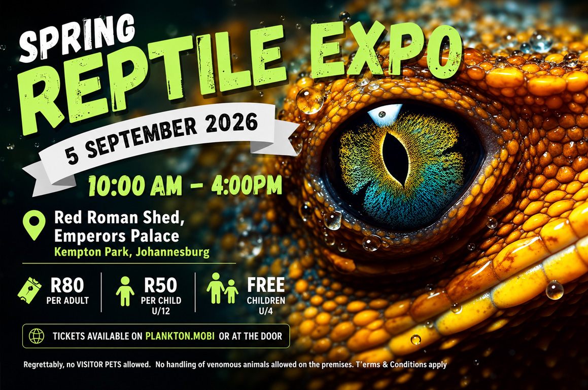 Spring Expo
