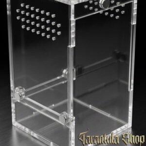 Small Arboreal Enclosure