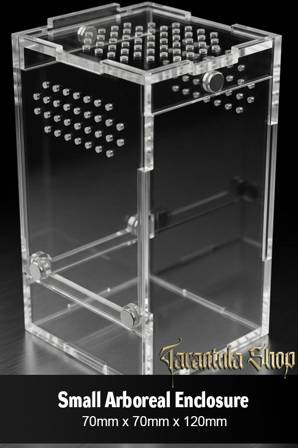 Small Arboreal Enclosure